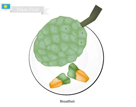 Screw Pine, A Native Fruit in Palau Stock Illustration