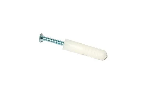Screw with Plastic Wall Anchor 写真素材
