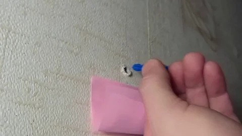 Screw the screw into the wall Stock Footage 70551754