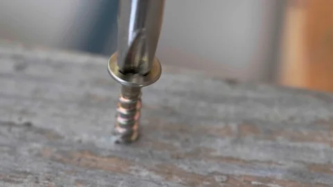 Screw &amp; Screwdriver in Wood. Stock Footage 115771827