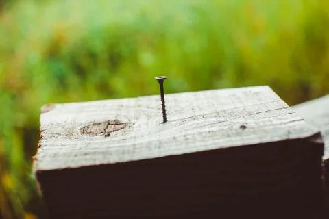 The screw is screwed into the Board Stock Photos