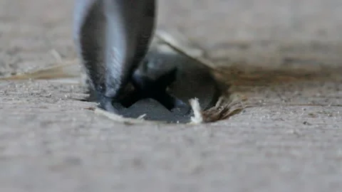 The screw to tighten in the Board Video stock 124555536