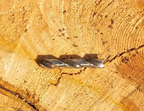 Screw on a tree stump Foto stock