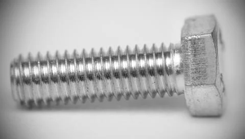 Screw on white background Stock Photos