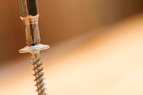 Screwdriver inserted into screw head. Macro photography isolated on blurred b Stock Photos