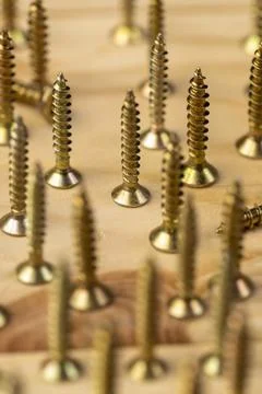 Screws for installation and construction work with wood, yellow metal self ta Stock Photos