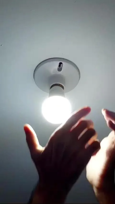 Screws in a light bulb Stock Footage 321765637