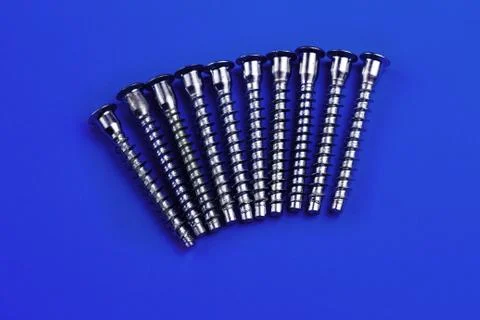 Screws on a plain background. copy space one Stock Photos