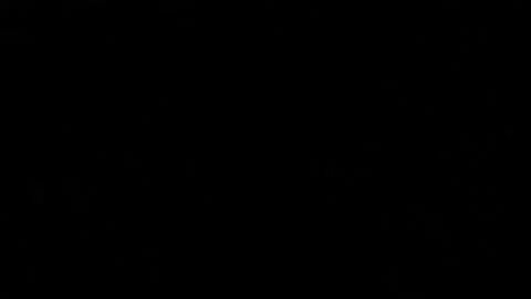 Scribble hand drawn transition made of black lines moving Stock Footage 303327024