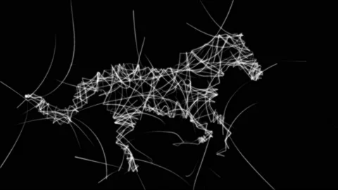 Scribble Horse. Stock Footage 211046923