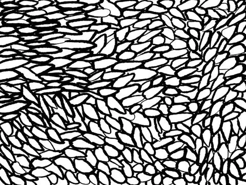 Scribble mesh net ink texture background. Vintage black and white illustration Stock Illustration