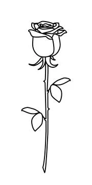 Scribble rose flower hand drawn with thin line Illustrazione stock
