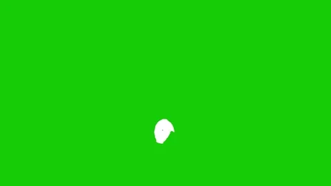 Scribble symbols pack on green screen background. Stock Footage 303326994