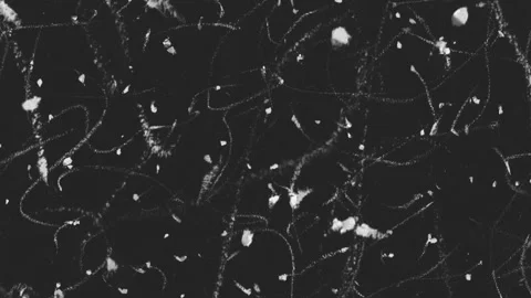 Scribbled pencil crayon etch chalk lines background overlay animation, particle Stock Footage 323793928