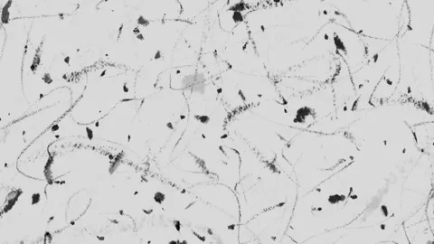 Scribbled pencil crayon lines background overlay animation, greyscale particle Video stock 323793927