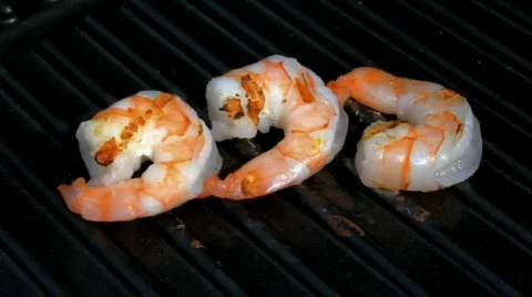 Scrimp Stock Footage 450770