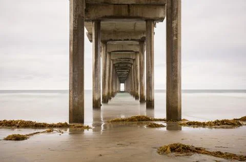 Scripps Pier Stock Photos