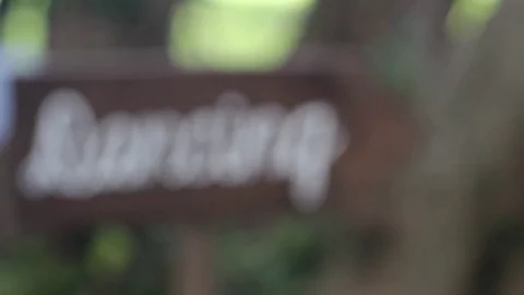 Script Dancing Sign Stock Footage 75035148