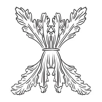 Scroll design element abstract vintage vector isolated illustration Stock Illustration