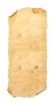 Scroll of old parchment paper isolated on white Stock Photos