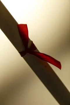 Scroll of paper Stock Photos