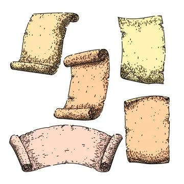 Scroll paper set sketch hand drawn vector Illustrazione stock