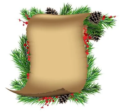 Scroll paper with spruce branches and red berries Stock Illustration