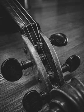 Scroll, peg, fingerboard and violin strings close up. Stock Photos
