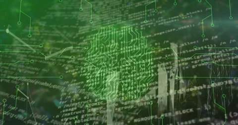 With scrolling code, circuit lines forming pulsing brain network dissolving back Stock Footage 315789370