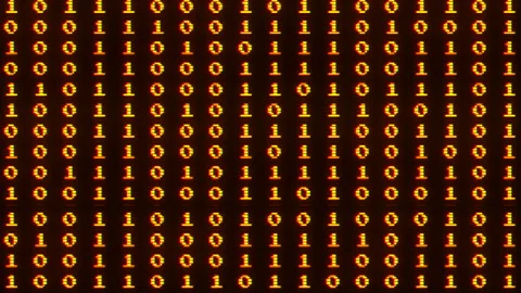 Scrolling digits on black background. Digital numbers on computer screen Stock-Footage 235599928