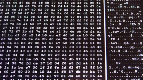 Scrolling hexadecimal code on a computer screen Stock Footage 323478551