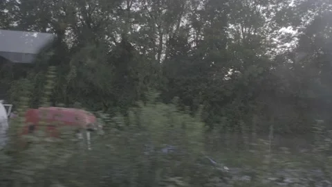 A scrolling landscape from inside a train,  4K, F-log Stock Footage 139173077