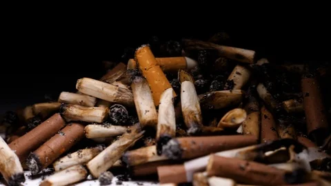 Scrolling pan of many cigarette butts Stock Footage 88054870