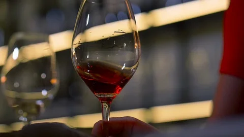 Scrolling, rotating red wine in a Bordeaux glass. Stock Footage 125057543