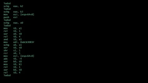 Scrolling text on a black screen. Assembly program language Stock Footage 105333048