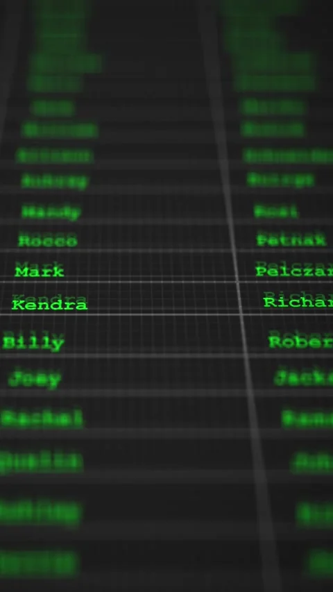 Scrolling Through Employee Profiles in Hiring Database - Vertical Stock Footage 328332813