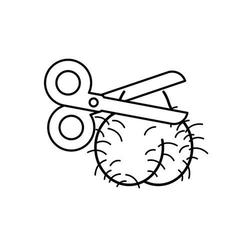 Scrotum and scissors. Castration concept cartoon illustration. vector illustr Stock Illustration