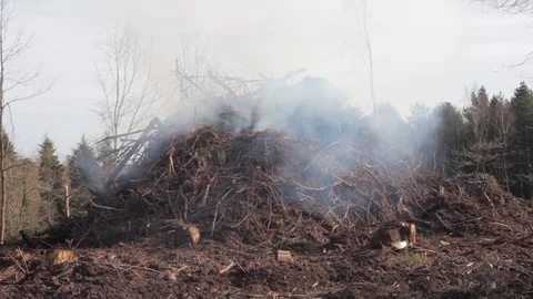 Scrub burning forest fire in England Video stock 69829967