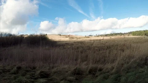 SCRUB DRIVE Stock Footage 122589524