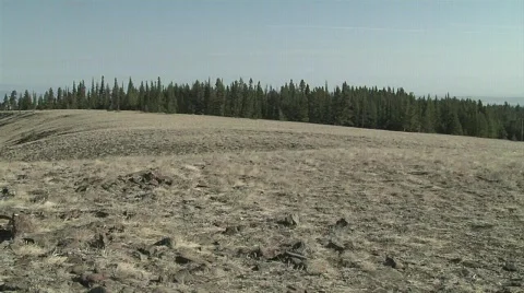 Scrub Land Stock Footage 320033