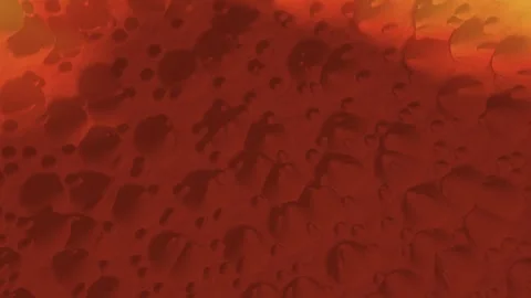 Scrubland Burn Severity Index Map Fire Scar Mosaic Nadir Aerial Remote Sensing Stock-Footage 344528859