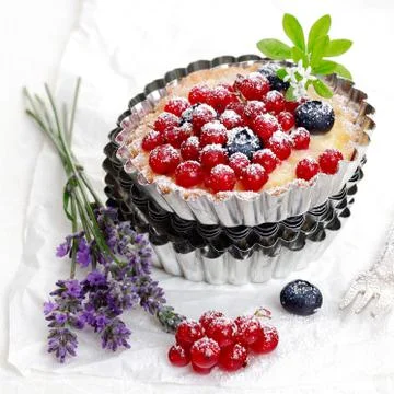 Scrumptious red currant and blueberry tart Stock Photos