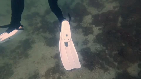Scuba Dive Excursion Ilha Grande Brazil Sea Discovery Stock Footage 336444872