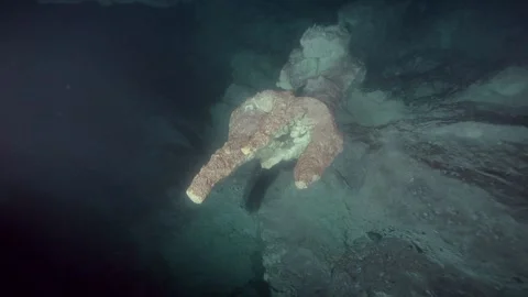 Scuba diver above sediment bottom Stock Footage 341359306