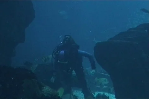 Scuba diver in action Video stock 110917