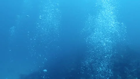 Scuba diver air bubbles rising gracefully toward the blue water surface Stock Footage 346531574