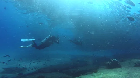 Scuba Diver and Jacks in Cabo Pulmo Stock Footage 157990895