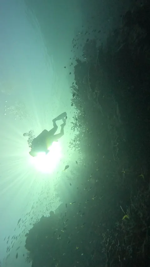 Scuba Diver from Below with Sunlight | Great Barrier Reef 4K Vertical Stock Footage 312883608