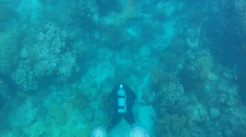 Scuba Diver Bubbles Stock Footage 7903625