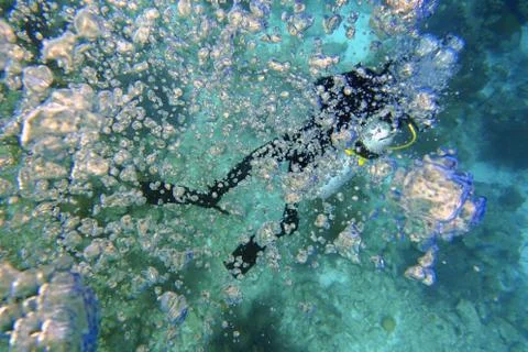 Scuba diver bubbles rising to the surface.  Background and pattern. Foto stock